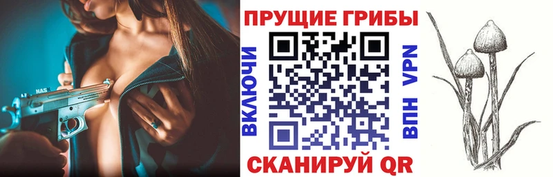 Псилоцибиновые грибы GOLDEN TEACHER  Волоколамск 